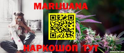 мдпв Рыбинск