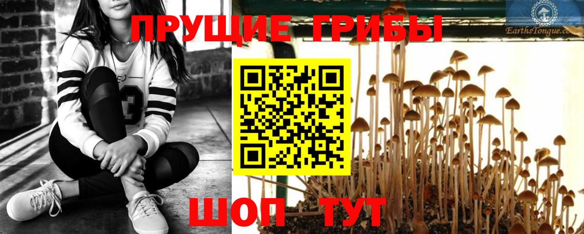 Псилоцибиновые грибы мицелий  Вход с VPN  Первоуральск  Псилоцибиновые грибы прущие грибы 